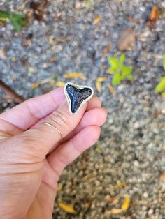 Ethically sourced shark tooth ring  This is a made to order ring just for YOU!   These are  preview photos of unfinished so I can make the ring shank in your size. The bezel around the tooth still needs to be fine tuned and polished. Because these are made to order sometimes they can break in the process!!  If this happens i will reach out to you. I will happily remake with other stones and teeth or I will refund you   Made in sterling silver.   Message me if you have questions!! Shark Tooth Jewelry, Shark Teeth Earrings, Shark Tooth Ring, Shark Teeth Necklace, Silver Shark Tooth Necklace, Shark Necklace Tooth, Tooth Ring, Silver Shark, Ring Shank