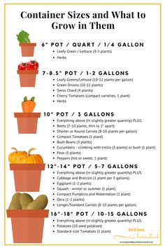 a poster showing how to grow vegetables in pots