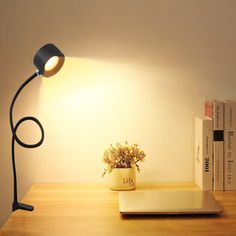 a desk lamp sitting on top of a wooden table next to books and a plant