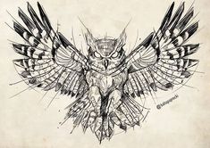 an owl with wings drawn on paper