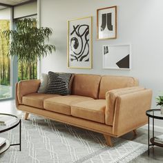 a living room scene with focus on the couch