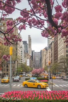 yellow taxi cabs driving down the street in front of tall buildings with pink flowers