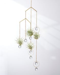 an air plant hanging from a gold chain with glass balls and chains attached to it