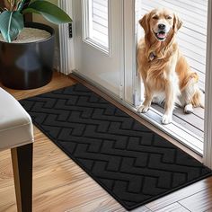 a golden retriever sitting on the front door mat next to an open glass door