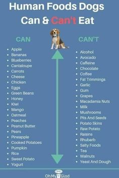 an info poster with the words, human foods dogs can and can't eat