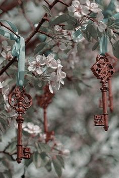 three old keys hanging from a tree with flowers