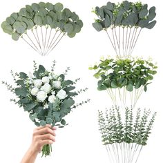 PRICES MAY VARY. 4 Kinds Mixed Eucalyptus Stems: you will receive 60 pieces of eucalyptus greenery stems in 4 different styles, they are different in shapes and sizes, the ample quantity can certainly meet your wedding table decorative needs, making your wedding more romantic and eye catching. Size Detail: the thin eucalyptus sprigs are approx 15 inches in height, and the other eucalyptus stems are approx 13 inch. Material: The leaves of our greenery stems are made of fine silk and the stems are Wedding Bouquet Arrangements, Eucalyptus Bundle, Mixed Eucalyptus, Vase Bouquet, Dollar Eucalyptus, Feuille Eucalyptus, Dried Eucalyptus, Eucalyptus Branches, Silver Dollar Eucalyptus