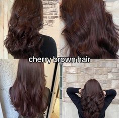 ifakesoul Cherry Brown Hair, Wine Hair, Brown Hair Looks, Cherry Brown, Cherry Hair, Brown Hair Inspo, Hair Tint, Hairstyles For Layered Hair, Hair Color Auburn