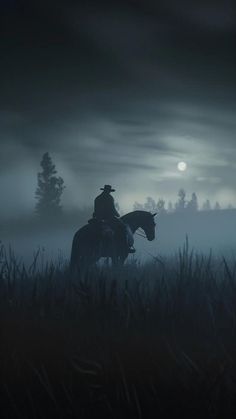 a man riding on the back of a horse across a grass covered field at night