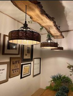 some lights hanging from the ceiling in a room with pictures and plants on the wall