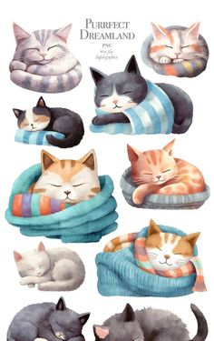 Sleeping Kittens Cute, Cartoon Cat Illustration, Sleeping Cats Illustration, Sleeping Kitten Drawing, Cartoon Cats Cute Drawing, Sleepy Cat Drawing, Cat Character Illustration, Cat Sleeping Drawing, Cat Digital Drawing