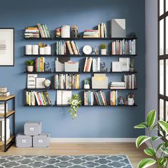 a living room with blue walls and shelves filled with books