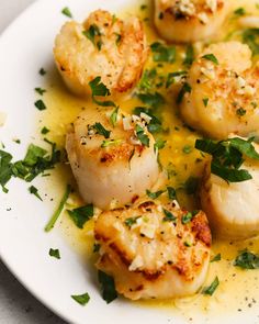 a white plate topped with scallops covered in sauce and garnished with parsley