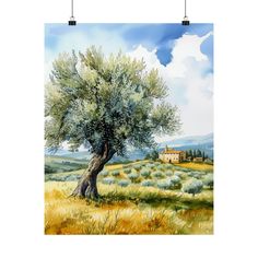 an olive tree in the middle of a field with a house in the distance and clouds above