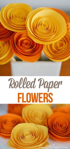 rolled paper flowers in a vase with the words, rolled paper flowers written below it