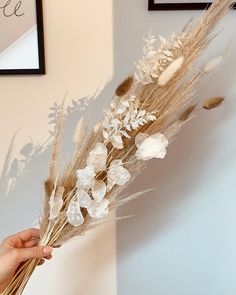 a person is holding some dried flowers in their hand and there are pictures on the wall behind them