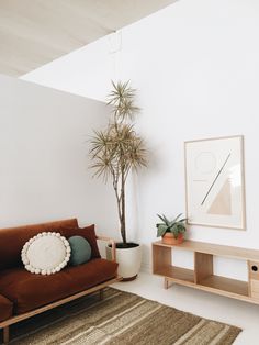 a living room with a couch, coffee table and potted plant