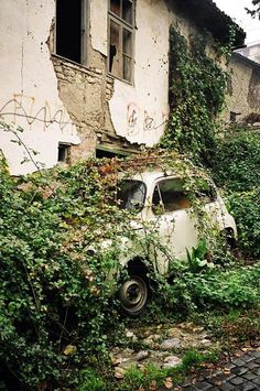 an old car covered in vines and ivys next to a run down building with graffiti on it