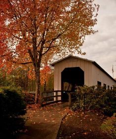 a covered bridge in the fall with leaves on the ground and trees turning colors around it