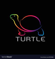 the turtle logo on a black background is colored in rainbows and has an inscription that reads