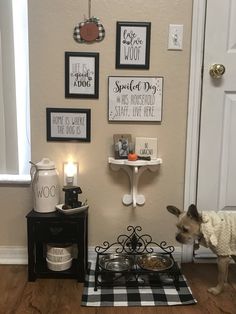 a dog is standing in front of a wall with pictures and food items on it