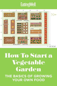 the basics of growing your own food garden with text overlaying how to start a vegetable garden