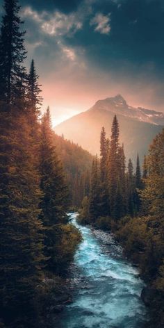 a river running through a lush green forest under a bright sunlit sky with mountains in the background