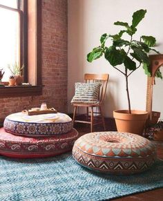 two round cushions sitting on top of a rug next to a potted plant