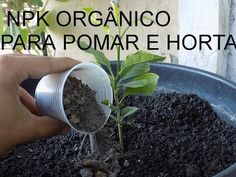 a person is pouring dirt into a pot with a plant in it and the words pk organic para pomar e horta