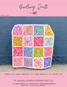 a pink and yellow quilt on the side of a blue brick wall with text reading, building quilts