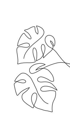 a line drawing of two leaves on a white background