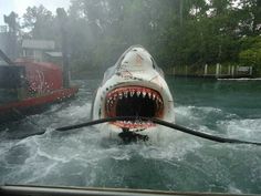 a great white shark with its mouth open in the water next to a red boat