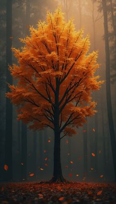 an orange tree in the middle of a forest with leaves falling from it's branches