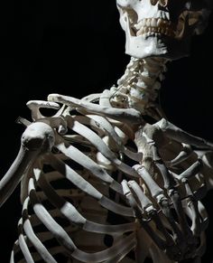 an image of a skeleton that is in the dark