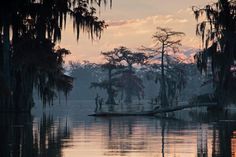 a body of water with trees in the background