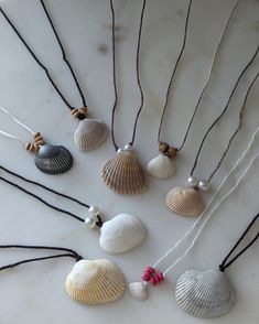 several seashells are arranged in a circle on a white surface with black string