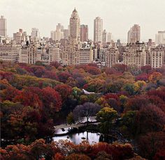 an aerial view of the city with trees in autumn