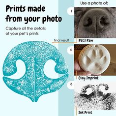 the instructions for how to make an animal's paw print