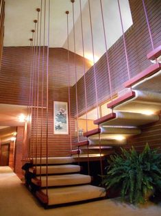 the stairs are made of wood and have glass railings hanging from them, along with potted plants on either side