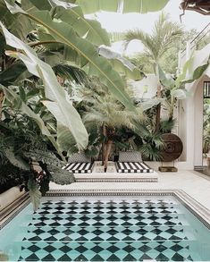 an indoor swimming pool surrounded by greenery and palm trees in a tropical setting with black and white checkered tiles