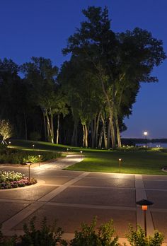 an empty street at night with trees and lights