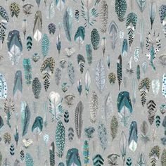 an image of many different feathers on a gray background with blue and green colors in the middle