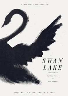 a black swan with its wings spread out in front of the words swan lake written on it