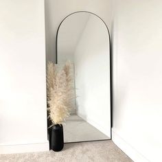 a tall mirror sitting in the corner of a room next to a vase with a plant