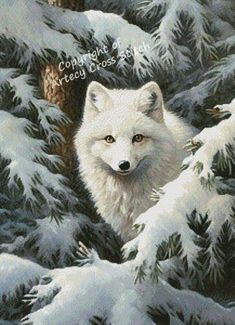 a painting of a white fox in the woods with snow on the ground and pine trees