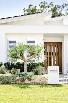 a white house with a palm tree in the front yard and landscaping on the lawn