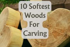 wooden logs with the words 10 softest woods for carving