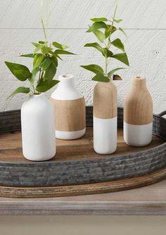 three white vases with plants in them on a tray