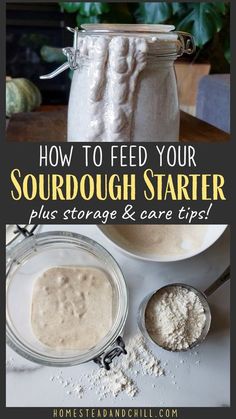 how to feed your sourdough starter plus storage & care tips