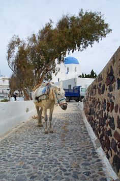 a horse that is standing on a cobblestone road next to a stone wall